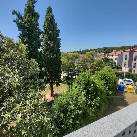 Modern Apartment Ana Rovinj Dış mekan fotoğraf